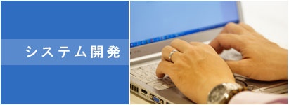 システム開発